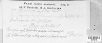 Gremmenia infestans image